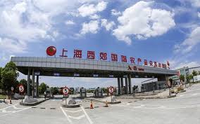 上海西郊国际农产品交易中心